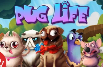 Pug Life